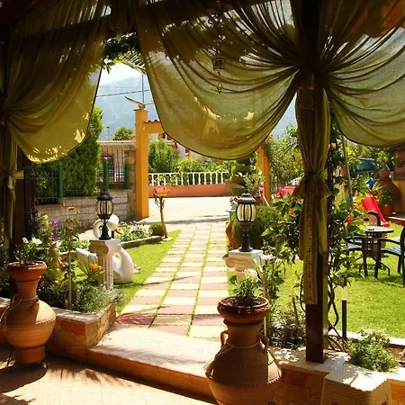 Guest house Golden Sun *